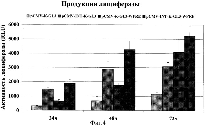 Экспрессионный вектор для синтеза белков в клетках млекопитающих (патент 2364627)