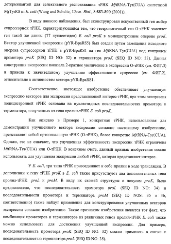 Система экспрессии компонентов ортогональной трансляции в эубактериальной клетке-хозяине (патент 2467069)