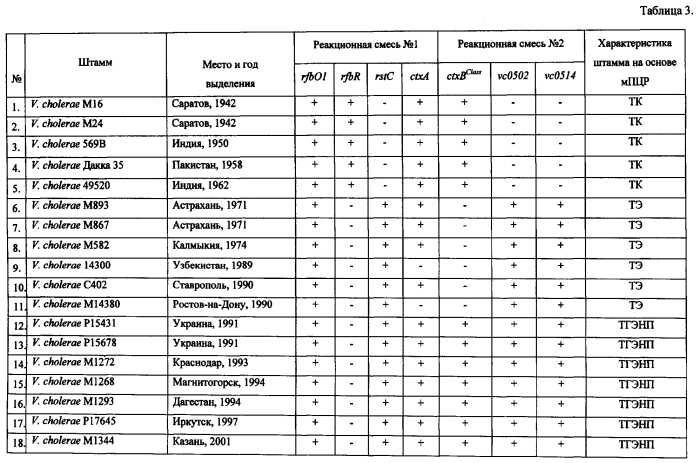 Способ одновременной идентификации токсигенных штаммов геновариантов возбудителя холеры эль тор и их дифференциации по эпидемическому потенциалу методом мультиплексной полимеразной цепной реакции (патент 2560280)