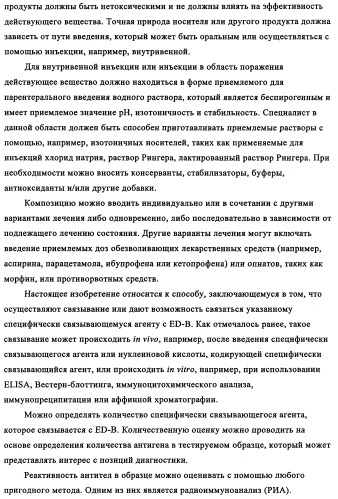 Избирательный направленный перенос в сосудистую сеть опухоли с использованием молекул антител (патент 2347787)