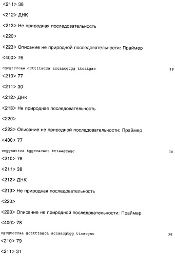 Композиция (варианты), способ получения не природной упорядоченной и содержащей повторы антигенной матрицы, способ терапевтического лечения и способ иммунизации (патент 2245163)