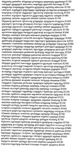 Модуляция экспрессии гентингтина (патент 2562861)