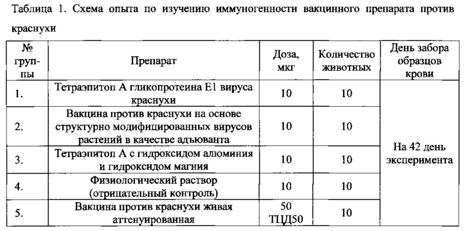 Вакцина против краснухи на основе структурно-модифицированного вируса растений и способ ее получения (патент 2660563)