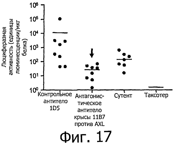Гуманизированные антитела против axl (патент 2571224)
