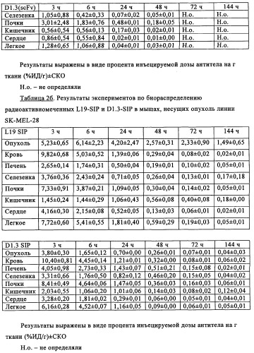 Избирательный направленный перенос в сосудистую сеть опухоли с использованием молекул антител (патент 2347787)