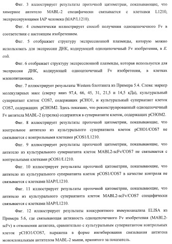 Днк, кодирующая модифицированное антитело или соединение с активностью агониста тро, способ их получения и животная клетка или микроорганизм, их продуцирующие (патент 2422528)