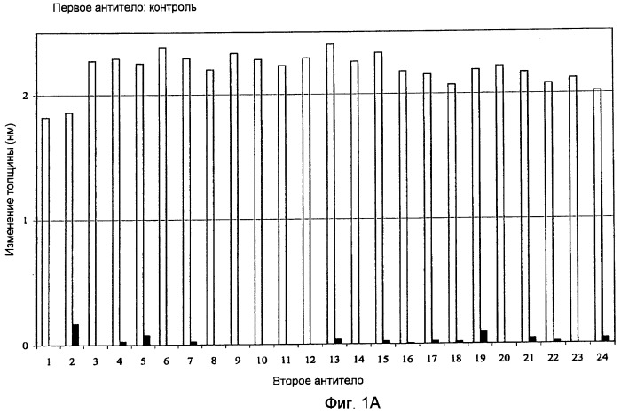 Высокоаффинные антитела человека к рецептору il-4 человека (патент 2445318)