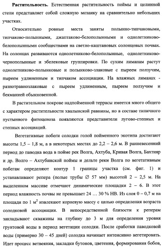 Способ прогнозирования семенной продуктивности солодки голой и солодки уральской сухостепного, лиманного и пойменного экотипов (патент 2360403)