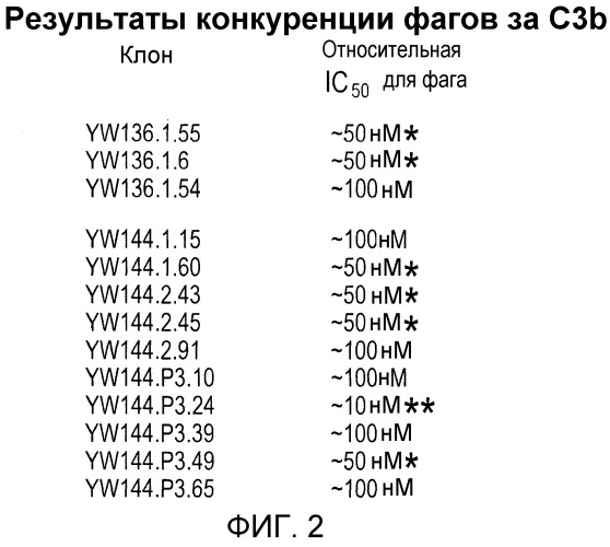 Антитела против c3b и способы профилактики и лечения связанных с комплементом нарушений (патент 2473563)