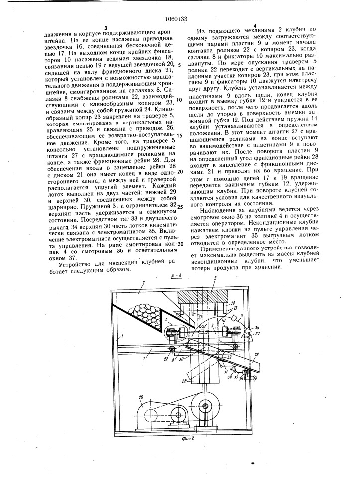 Устройство для инспекции клубней (патент 1060133)