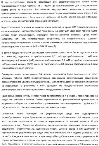 Улучшенная трансформация сои (патент 2389797)