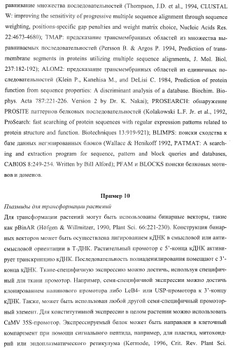 Молекулы нуклеиновых кислот, кодирующие wrinkled1-подобные полипептиды, и способы их применения в растениях (патент 2385347)