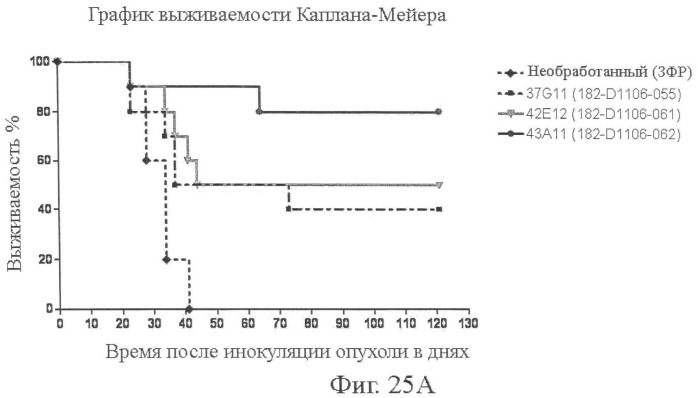 Моноклональные антитела к клаудину-18 для лечения рака (патент 2445319)