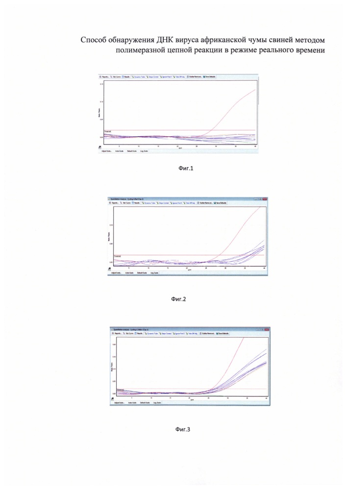 Способ обнаружения днк вируса африканской чумы свиней методом полимеразной цепной реакции в режиме реального времени (патент 2645262)