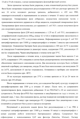 Моновалентные композиции для связывания cd40l и способы их применения (патент 2364420)