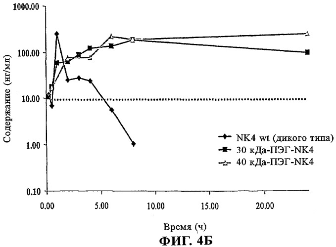 Содержащие пэг конъюгаты hgf-nk4 (патент 2293574)