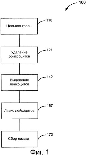 Устройство и способ выделения лейкоцитов и раковых клеток путем фильтрования (патент 2578848)