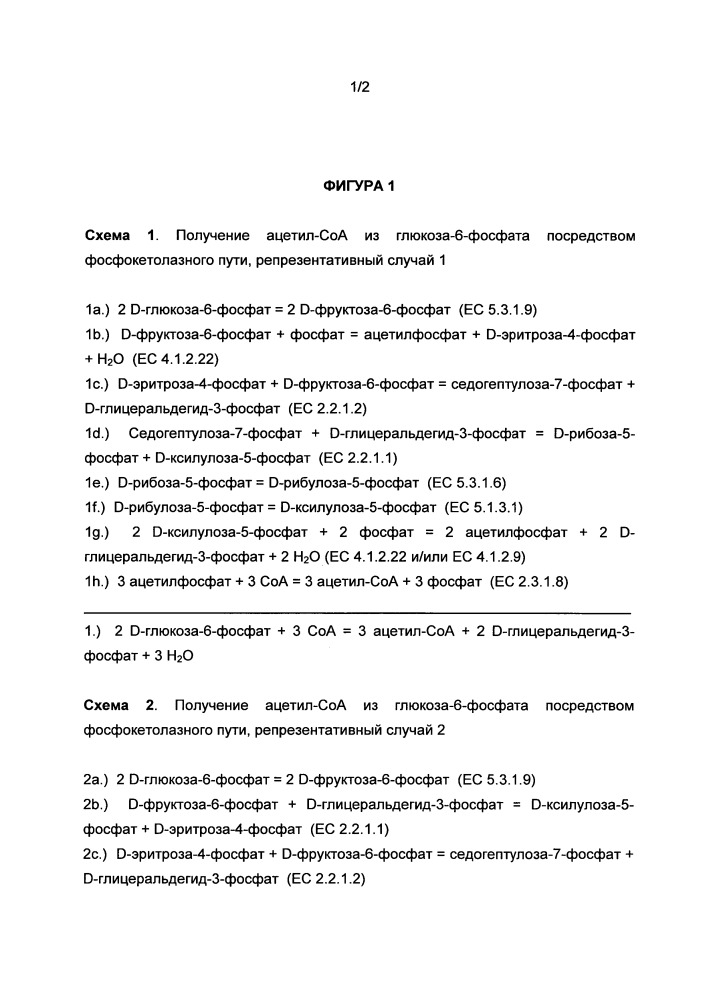 Рекомбинантный микроорганизм для получения полезных метаболитов (патент 2658770)