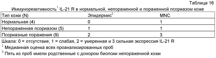 Моноклональные антитела против il-21 человека (патент 2504552)