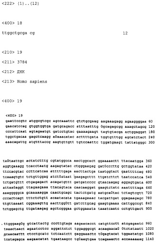 Олигонуклеотиды для ингибирования экспрессии eg5 человека (патент 2249458)