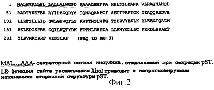 Капсула для имплантации и способ введения соматотропина свинье (патент 2268940)