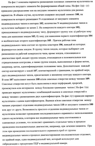 Дифференцирующий и специфический олигонуклеотиды для идентификации последовательностей днк инфекционных агентов в биологических материалах, способ видовой идентификации инфекционных агентов, биочип и набор для осуществления этого способа (патент 2348695)