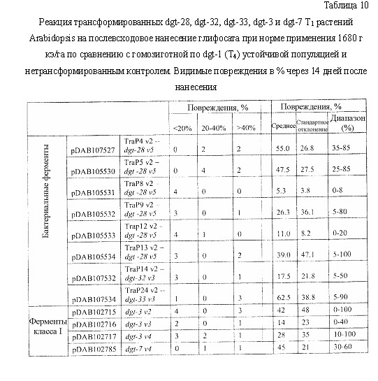 Синтетические транзитные пептиды хлоропласта из brassica (патент 2636035)