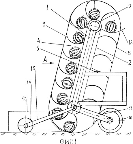 Подборщик плодов бахчевых культур (патент 2340158)