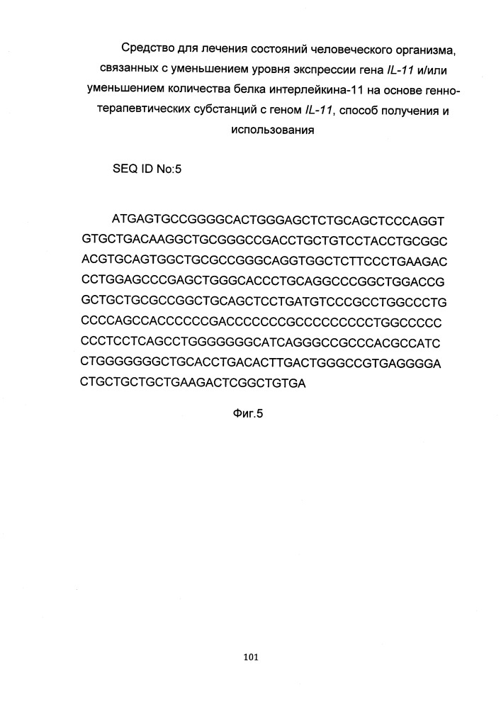 Средство для лечения состояний человеческого организма, связанных с уменьшением уровня экспрессии гена il-11 и/или уменьшением количества белка интерлейкина-11 на основе генно-терапевтических субстанций с геном il-11, способ получения и использования (патент 2651048)