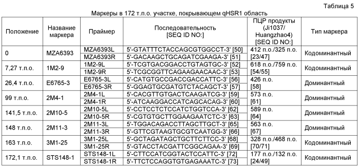 Генетические локусы, связанные с устойчивостью к пыльной головне у маиса (патент 2562864)