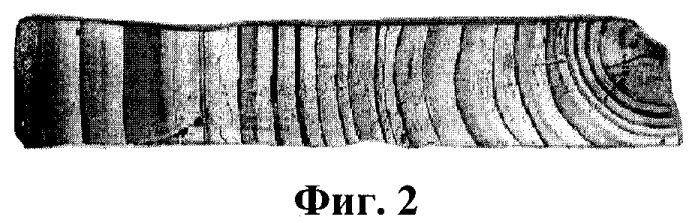 Способ оценки радиоэкологического загрязнения окружающей среды (патент 2265869)