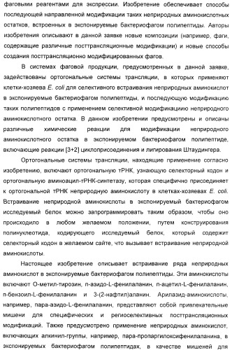Селективная посттрансляционная модификация экспонируемых фагами полипептидов (патент 2459866)