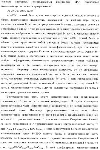 Fc-эритропоэтин слитый белок с улучшенной фармакокинетикой (патент 2370276)
