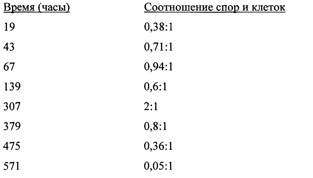 Способ культивирования ацетогенных бактерий на синтез-газе (патент 2629997)