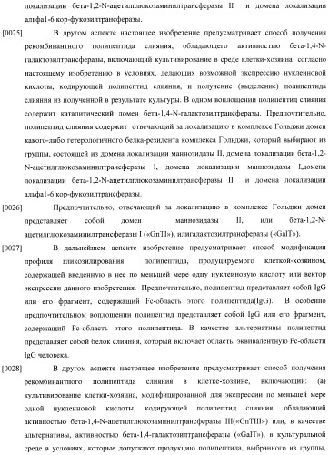 Конструкции слияния и их применение для получения антител с повышенными аффинностью связывания fc-рецептора и эффекторной функцией (патент 2407796)