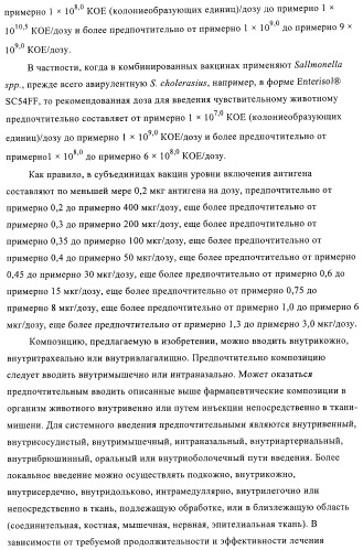 Иммуногенные композиции, содержащие lawsonia intracellularis (патент 2443430)