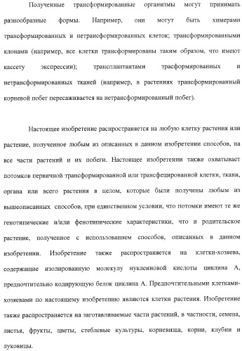 Растения с повышенной урожайностью и способ их получения (патент 2377306)