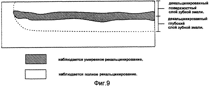 Ускоритель рекальцинирования зубной эмали, композиция для ухода за полостью рта и содержащие его пищевой продукт или напиток (патент 2396969)