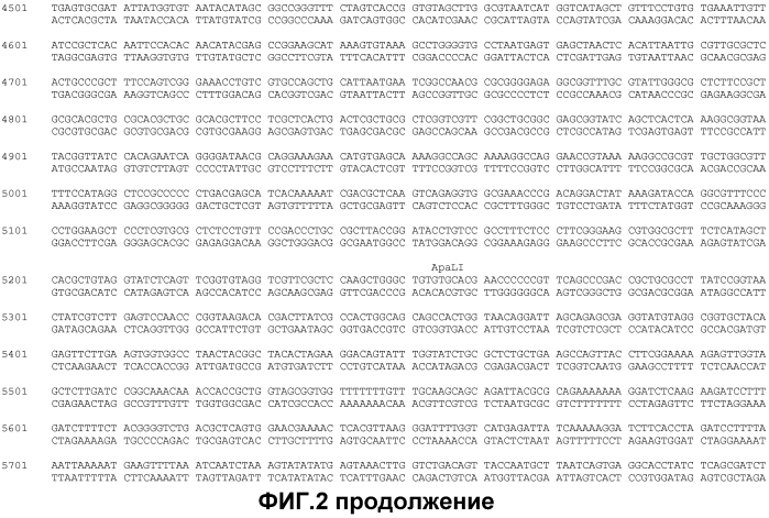 Получение функционализированной линейной днк-кассеты и опосредованная квантовыми точками/наночастицами доставка в растения (патент 2574785)