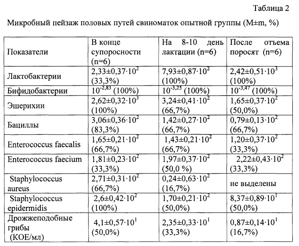 Способ профилактики острых послеродовых и хронических скрытых воспалительных процессов в репродуктивных органах свиноматок (патент 2635187)