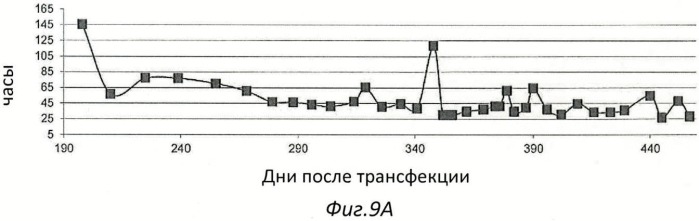 Иммортализованная клеточная линия птиц (патент 2475536)