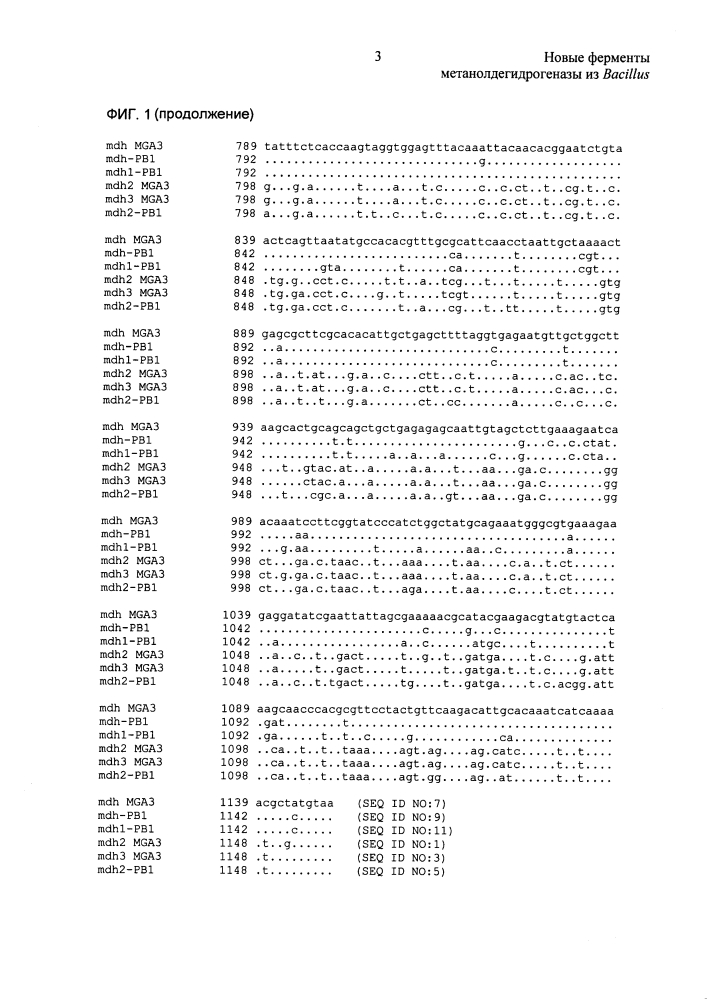Новые ферменты метанолдегидрогеназы из bacillus (патент 2624017)
