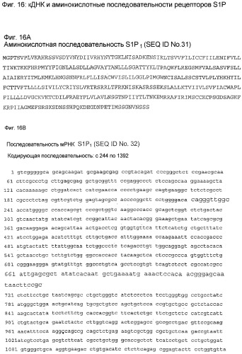 Применение s1p (патент 2362565)