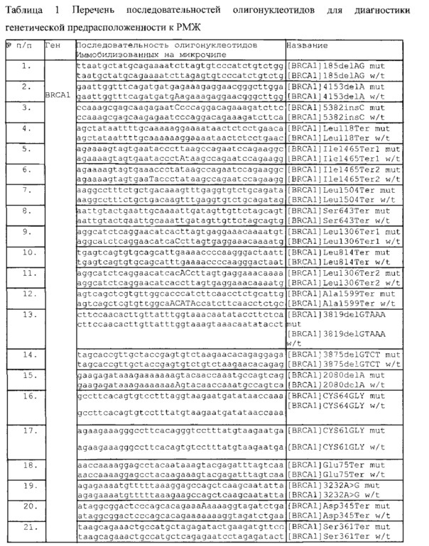 Способ экспресс-анализа генетического полиморфизма для выявления генетической предрасположенности к раку молочной железы (патент 2617936)