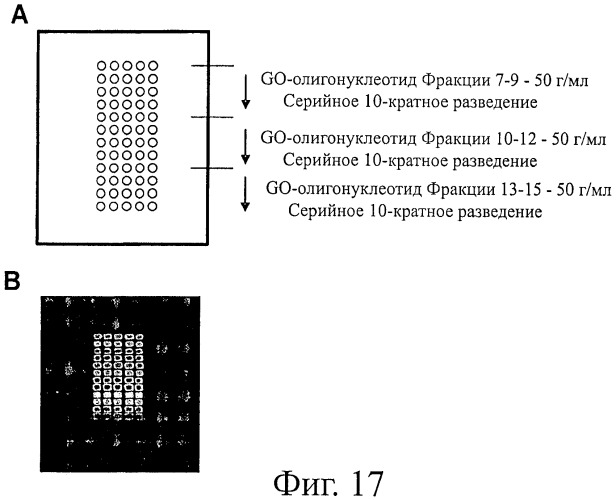 Чипы на основе антител для определения множественных трансдукторов сигналов в редких циркулирующих клетках (патент 2442171)