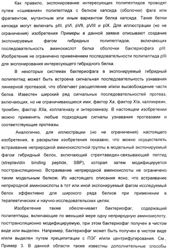 Селективная посттрансляционная модификация экспонируемых фагами полипептидов (патент 2459866)