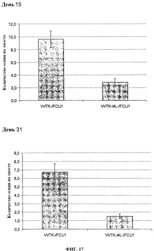 Поксвирусные онколитические векторы (патент 2503717)