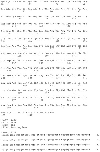 Pscaxcd3, cd19xcd3, c-metxcd3, эндосиалинxcd3, epcamxcd3, igf-1rxcd3 или fap-альфаxcd3 биспецифическое одноцепочечное антитело с межвидовой специфичностью (патент 2547600)