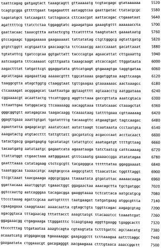 Бактериофаг, обладающий активностью против pseudomonas aeruginosa, белки бактериофага и способы их применения (патент 2580248)