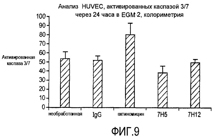 Комбинированная терапия с использованием антагонистов альфа5бета1 (патент 2465282)